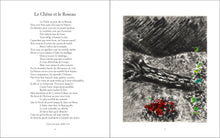 Charger l'image dans la galerie, LES FABLES DE LA FONTAINE ILLUSTREES PAR CHAGALL (COFFRET)