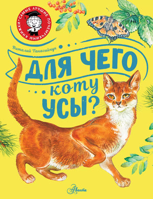 ДЛЯ ЧЕГО КОТУ УСЫ?