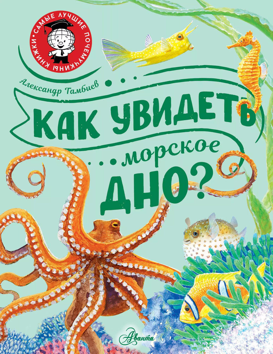 КАК УВИДЕТЬ МОРСКОЕ ДНО?