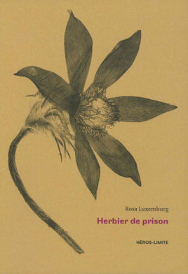 HERBIER DE PRISON - (1915 - 1918) - ILLUSTRATIONS, COULEUR