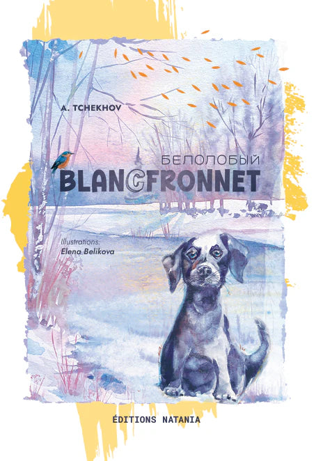 БЕЛОЛОБЫЙ / BLANCFRONNET